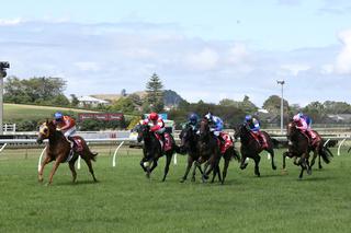 Ready to Run Sale Graduate Gingernuts (NZ) Stars in Avondale Guineas. Photo: Trish Dunell.